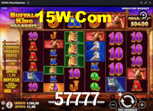 Premium Interface 57777